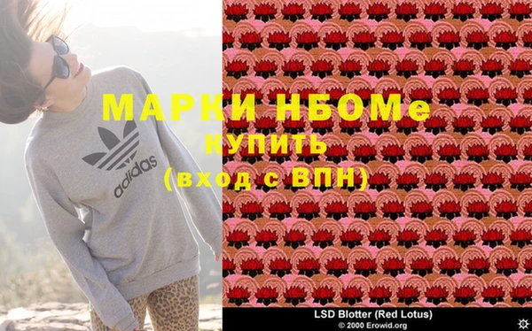 твердый Дмитровск